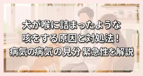 犬が喉に詰まったような咳をする原因と対処法！病気の見分け方や緊急性を解説