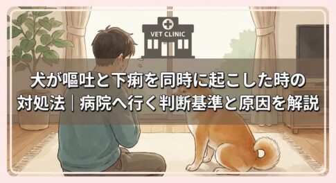 犬が嘔吐と下痢を同時に起こした時の対処法｜病院へ行く判断基準と原因を解説
