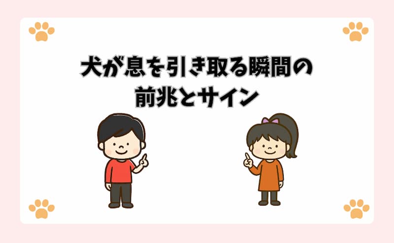 犬が息を引き取る瞬間の前兆とサイン