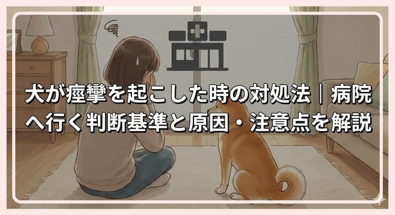 犬が痙攣を起こした時の対処法｜病院へ行く判断基準と原因・注意点を解説