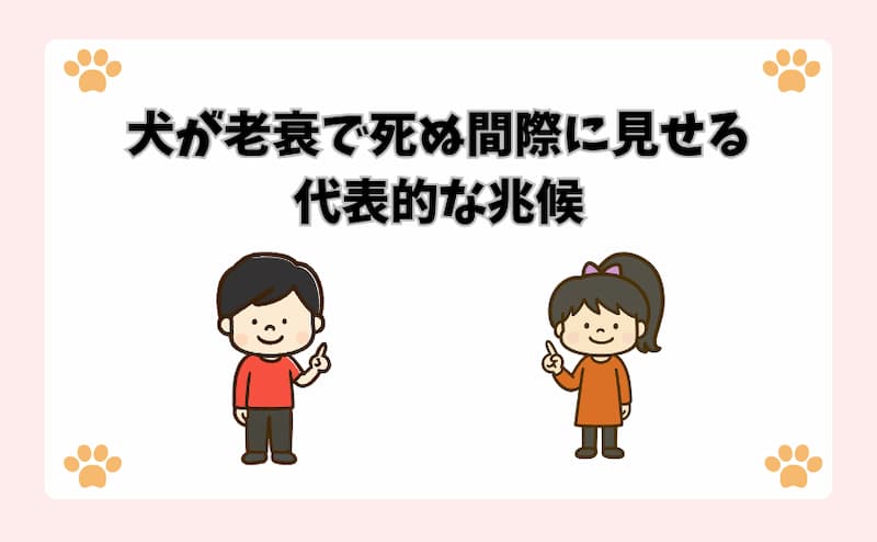犬が老衰で死ぬ間際に見せる代表的な兆候