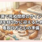 犬が老衰で死ぬ間際のサインとは？最期を穏やかに迎えるための看取り方と心の準備