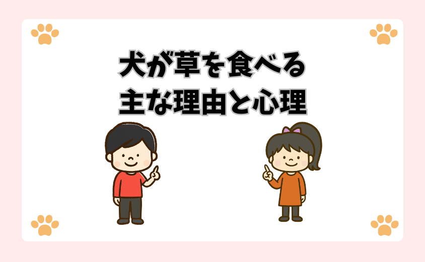 犬が草を食べる主な理由と心理