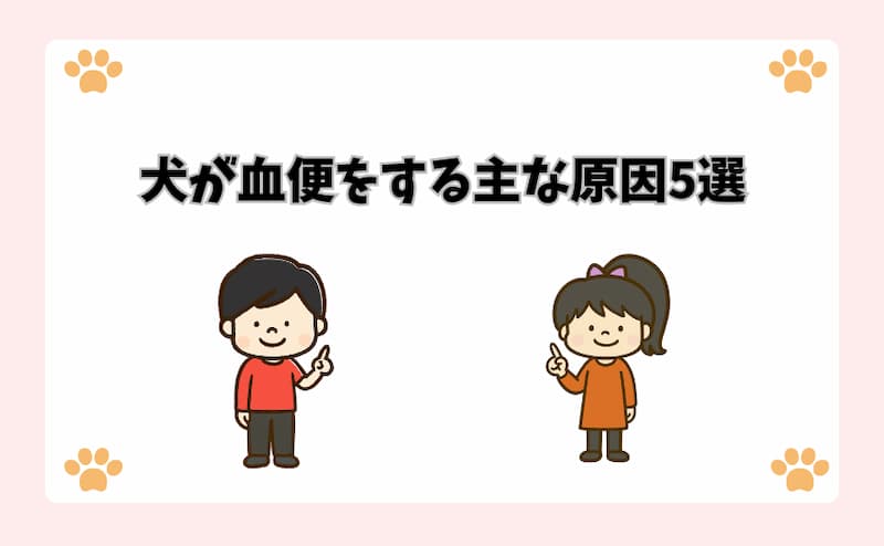 犬が血便をする主な原因5選