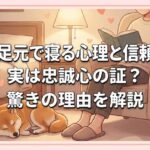 犬が足元で寝る心理と信頼度！実は忠誠心の証？驚きの理由を解説