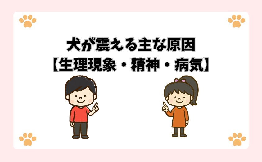 犬が震える主な原因【生理現象・精神・病気】