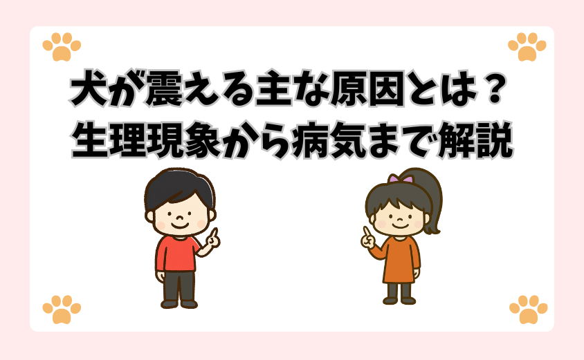 犬が震える主な原因とは？生理現象から病気まで解説