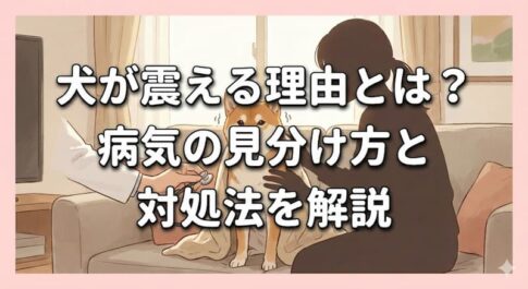 犬が震える理由とは？病気の見分け方と対処法を解説