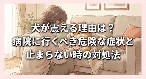 犬が震える理由は？病院に行くべき危険な症状と止まらない時の対処法