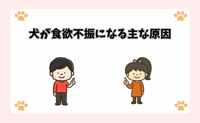 犬が食欲不振になる主な原因