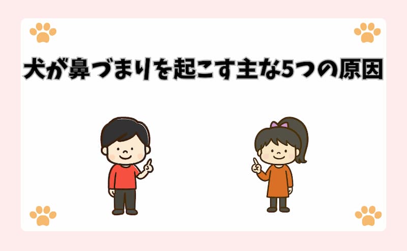 犬が鼻づまりを起こす主な5つの原因