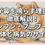 犬が鼻を鳴らす理由を徹底解説！フンフン・ブーブーの正体と病気のサイン