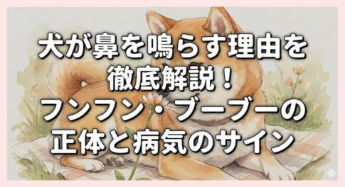 犬が鼻を鳴らす理由を徹底解説！フンフン・ブーブーの正体と病気のサイン