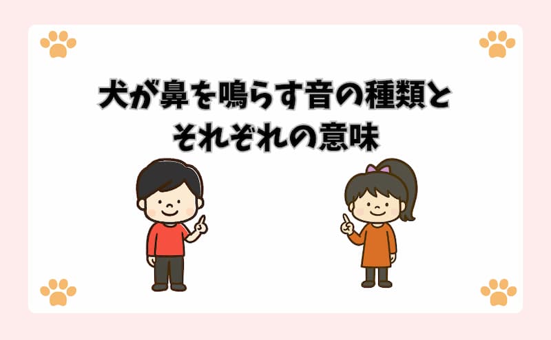 犬が鼻を鳴らす音の種類とそれぞれの意味