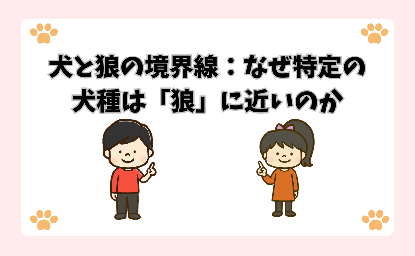 犬と狼の境界線：なぜ特定の犬種は「狼」に近いのか