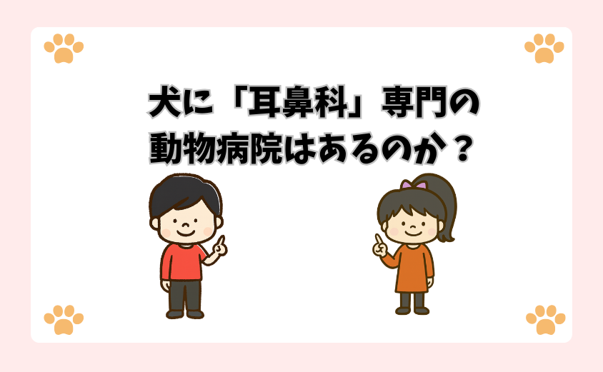 犬に「耳鼻科」専門の動物病院はあるのか？