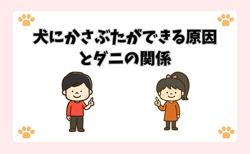 犬にかさぶたができる原因とダニの関係