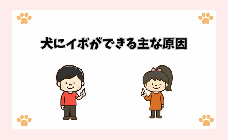 犬にイボができる主な原因