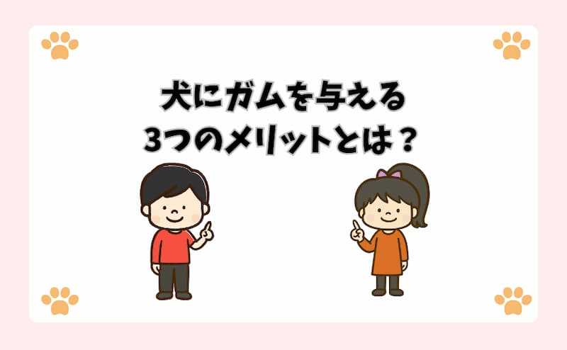 犬にガムを与える3つのメリットとは？