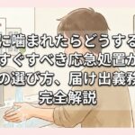犬に噛まれたらどうする？今すぐすべき応急処置から病院の選び方、届け出義務まで完全解説