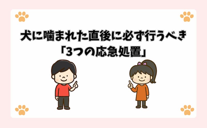 犬に噛まれた直後に必ず行うべき「3つの応急処置」