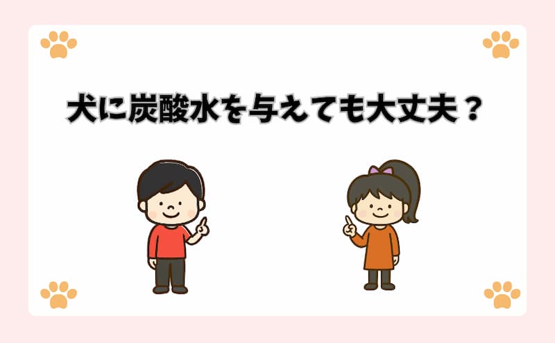犬に炭酸水を与えても大丈夫？