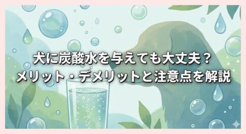 犬に炭酸水を与えても大丈夫？メリット・デメリットと注意点を解説