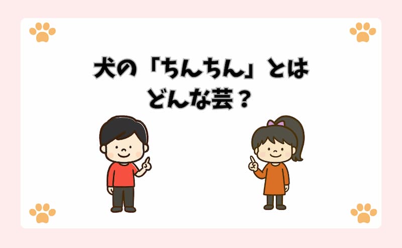 犬の「ちんちん」とはどんな芸？
