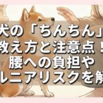 犬の「ちんちん」教え方と注意点！腰への負担やヘルニアリスクを解説