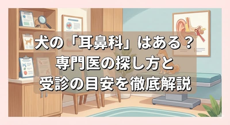 犬の「耳鼻科」はある？専門医の探し方と受診の目安を徹底解説
