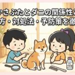 犬のかさぶたとダニの関係性とは？見分け方・対処法・予防策を徹底解説