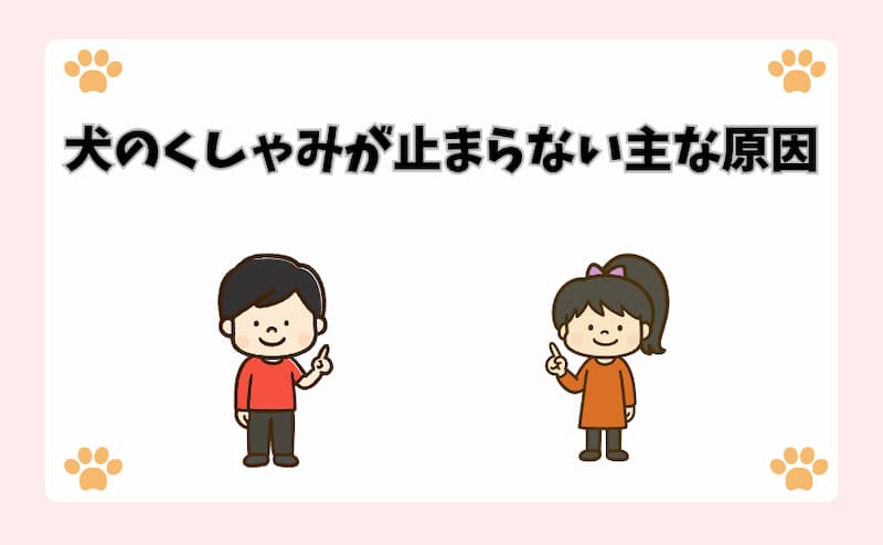 犬のくしゃみが止まらない主な原因