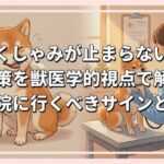 犬のくしゃみが止まらない原因と対策を獣医学的視点で解説｜病院に行くべきサインとは