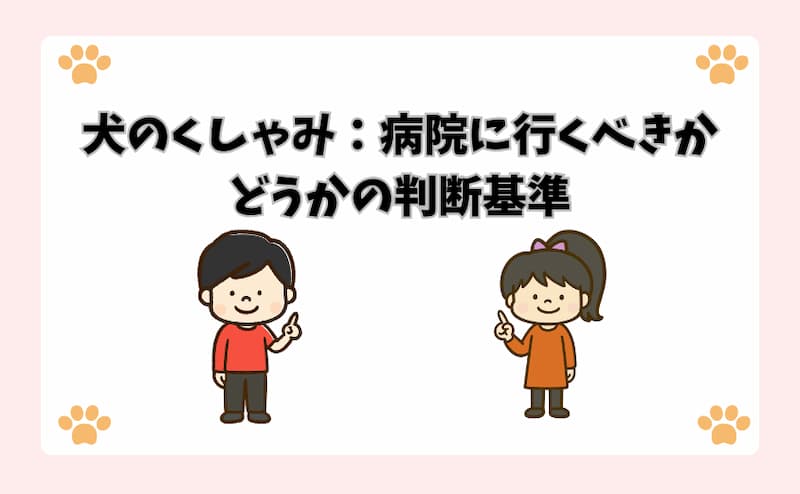 犬のくしゃみ：病院に行くべきかどうかの判断基準