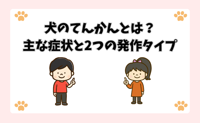 犬のてんかんとは？主な症状と2つの発作タイプ