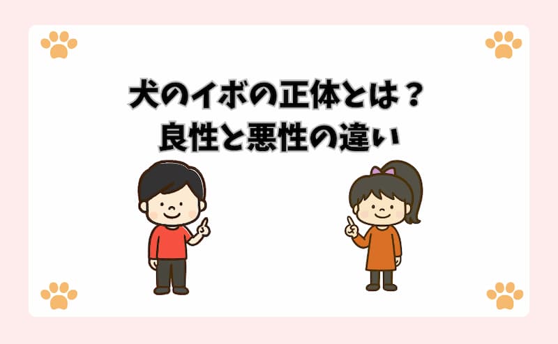 犬のイボの正体とは？良性と悪性の違い