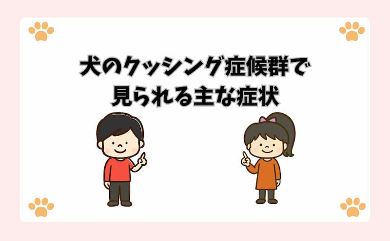 犬のクッシング症候群で見られる主な症状