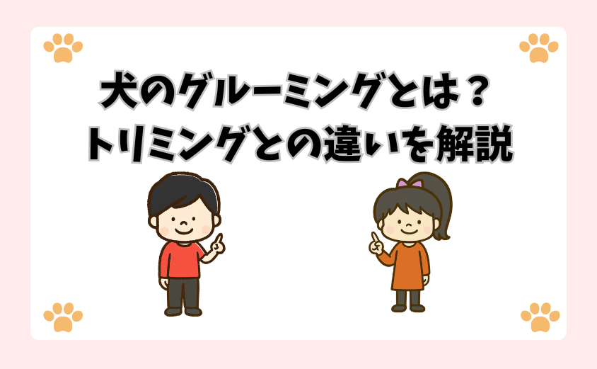 犬のグルーミングとは？トリミングとの大きな違いを解説