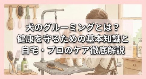 犬のグルーミングとは？健康を守るための基本知識と自宅・プロのケア徹底解説