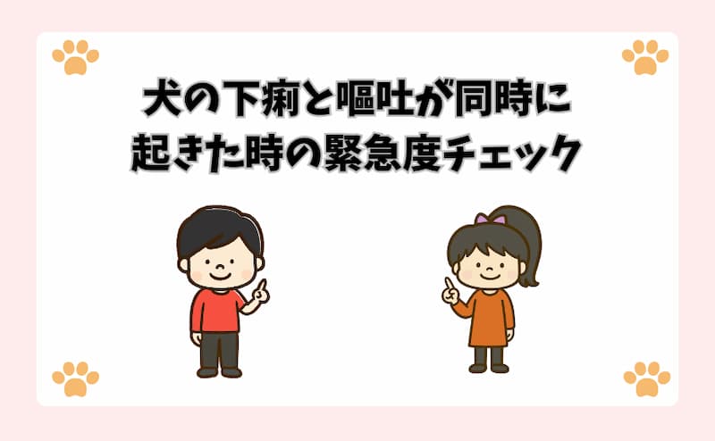 犬の下痢と嘔吐が同時に起きた時の緊急度チェック