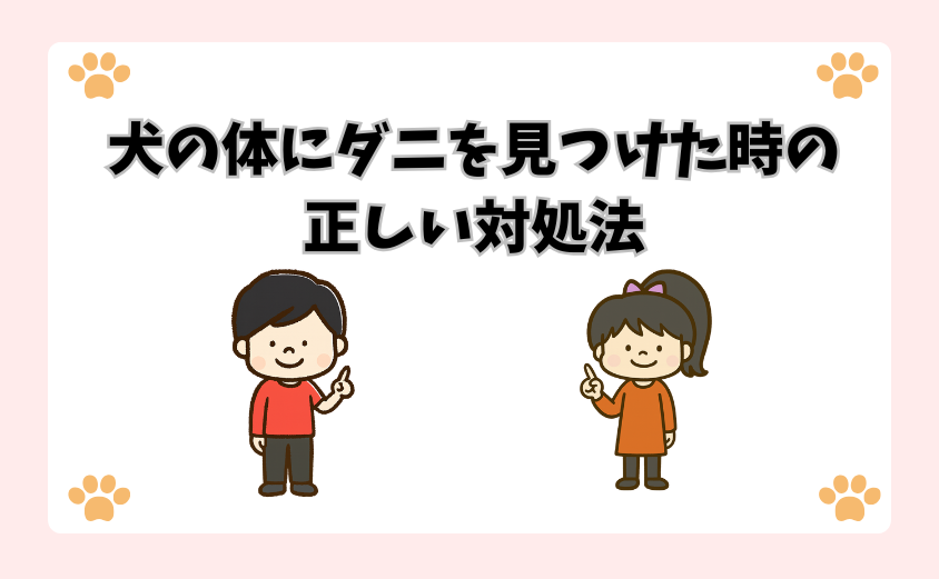 犬の体にダニを見つけた時の正しい対処法