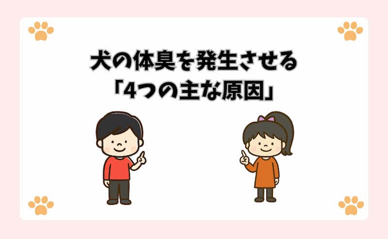 犬の体臭を発生させる「4つの主な原因」