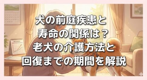 犬の前庭疾患と寿命の関係は？老犬の介護方法と回復までの期間を解説