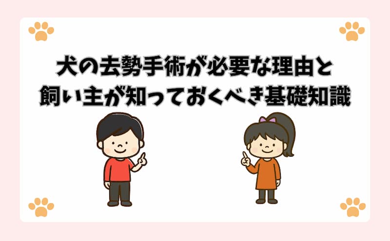 犬の去勢手術が必要な理由と飼い主が知っておくべき基礎知識