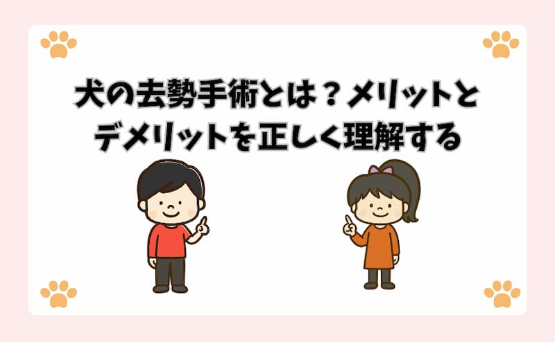 犬の去勢手術とは？メリットとデメリットを正しく理解する