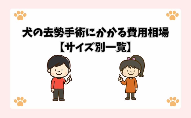 犬の去勢手術にかかる費用相場【サイズ別一覧】