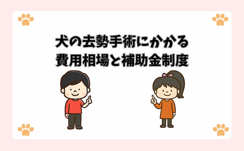 犬の去勢手術にかかる費用相場と補助金制度