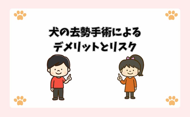犬の去勢手術によるデメリットとリスク