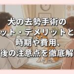 犬の去勢手術のメリット・デメリットとは？時期や費用、術後の注意点を徹底解説
