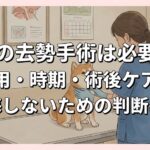 犬の去勢手術は必要？費用・時期・術後ケアと後悔しないための判断基準